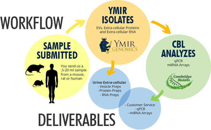 workflow-deliverables